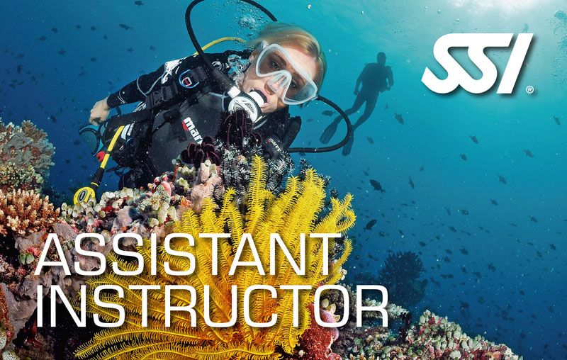 Asistant instructor SSI curos buceo lanzarote