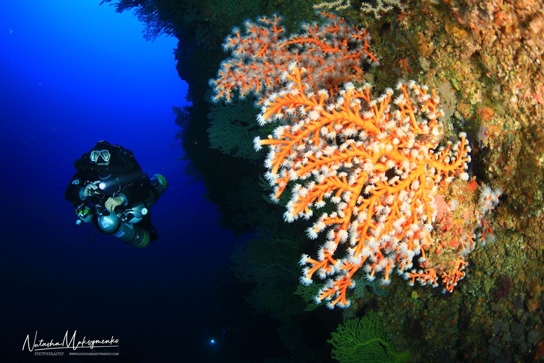 CCR Extended Range Trimix Rubicon Diving center Lanzarote coral
