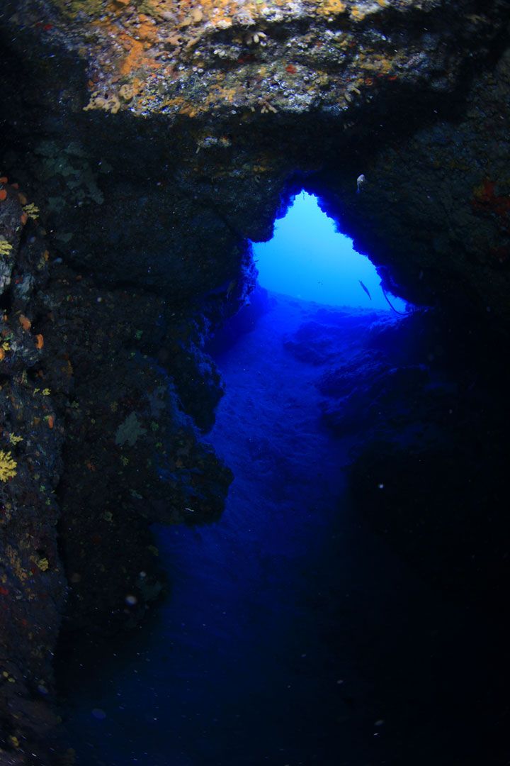 Dive site blue hole lanzarote rubicon diving 95d822f4eb