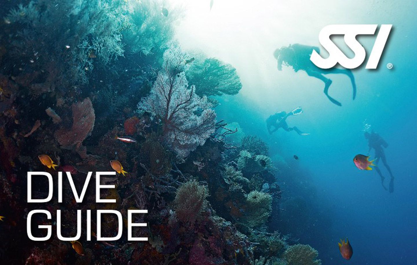 Diving Courses Punta Amanay Fuerteventura Specialty Instructor Dive Guide