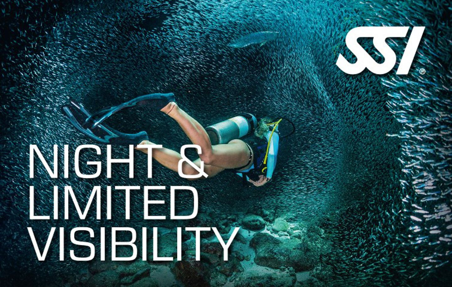 Diving Courses Specialty Instructor Night and Limited Visibility