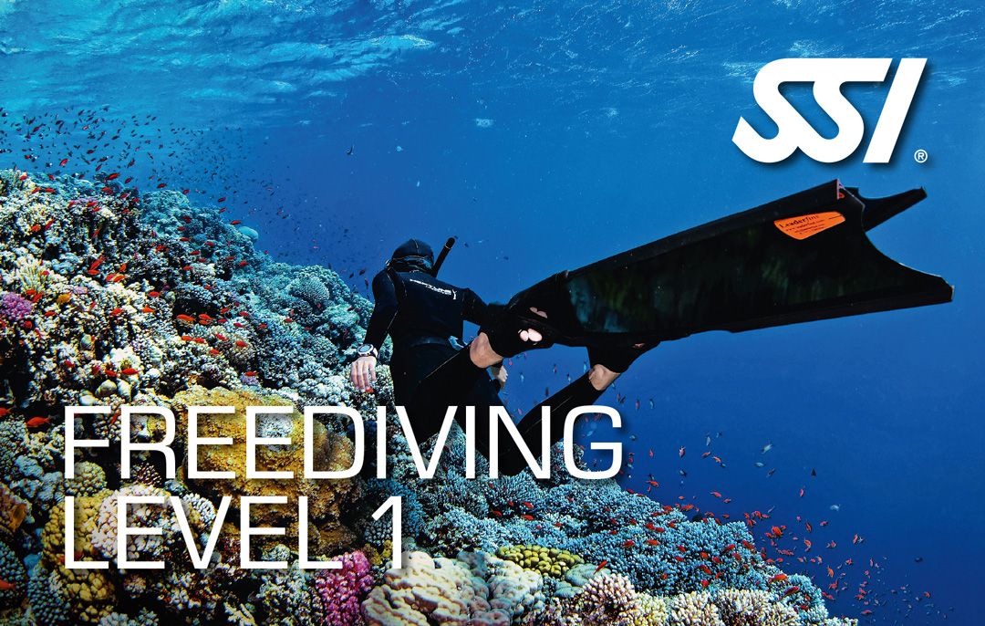 Freediving Level 1 course in Lanzarote Rubicon Diving