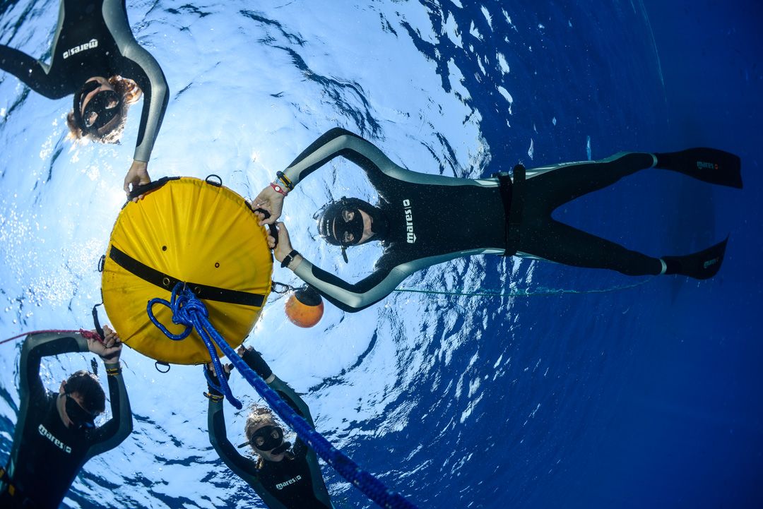 Freediving Level 2 course in lanzarote divers