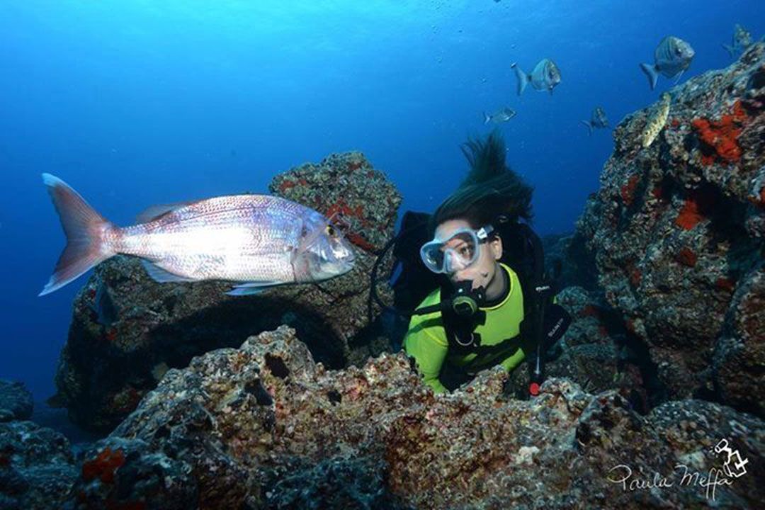Lanzarote Dive site Berrugo with rubicon diving center a diver and fish 86e76c23ae