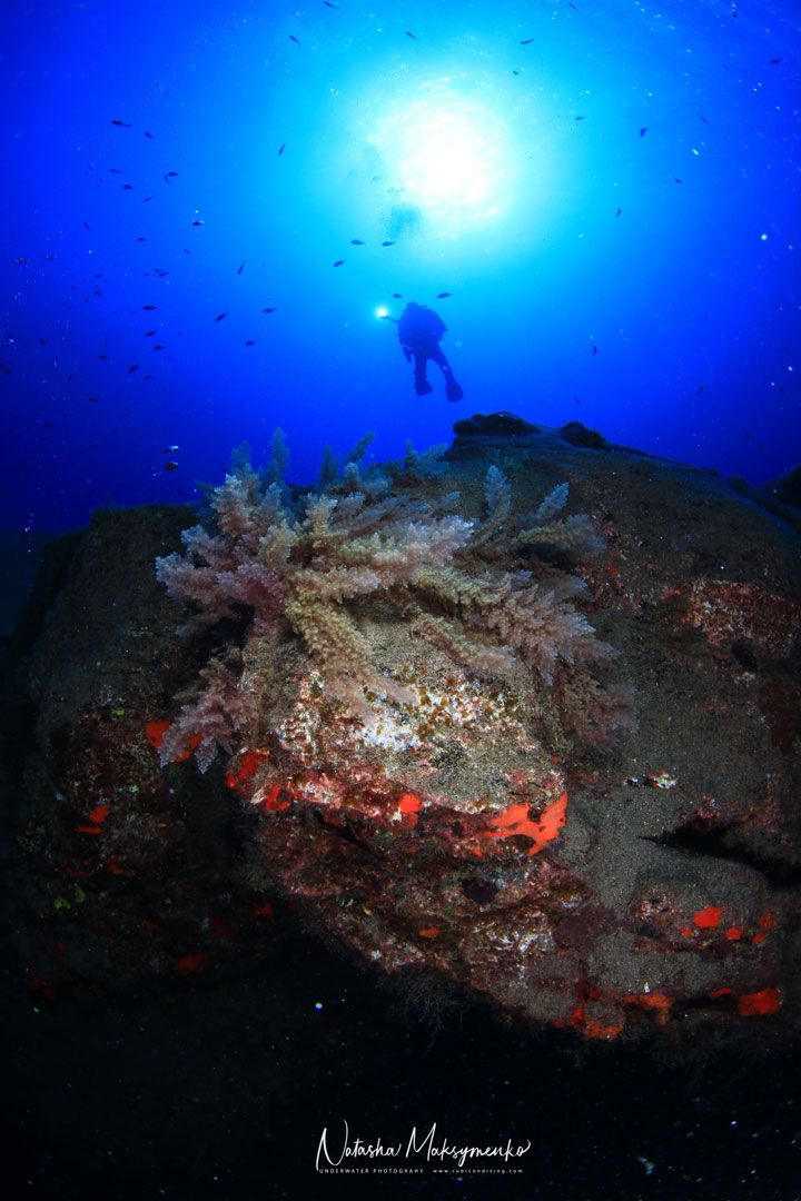 Lanzarote Dive site waikiki with rubicon diving center a diver 2 7bd5c3de96