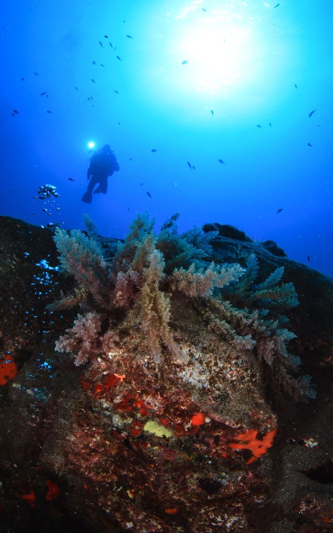 Master Diver course scuba diving lanzarote rubicon Diving 01