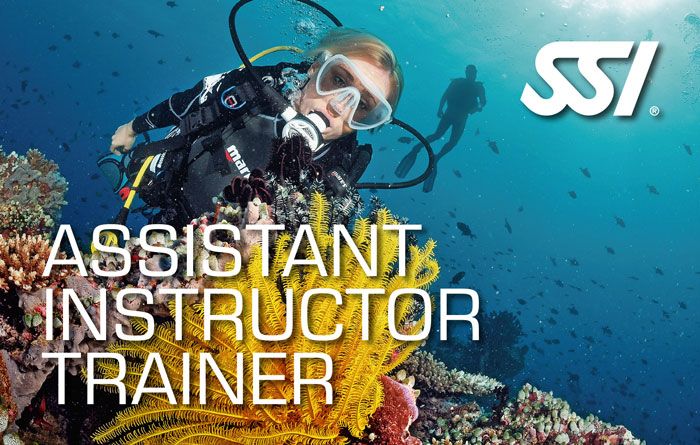 Rubicon diving lanzarote assistant instructor trainer