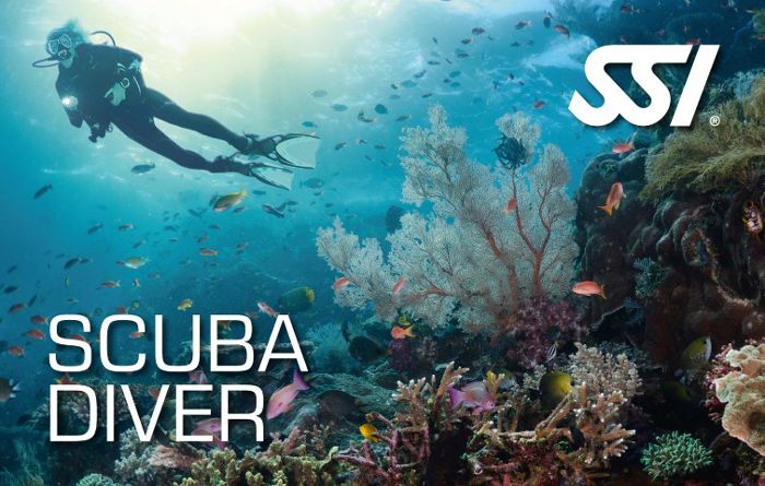 Scuba Diving Course