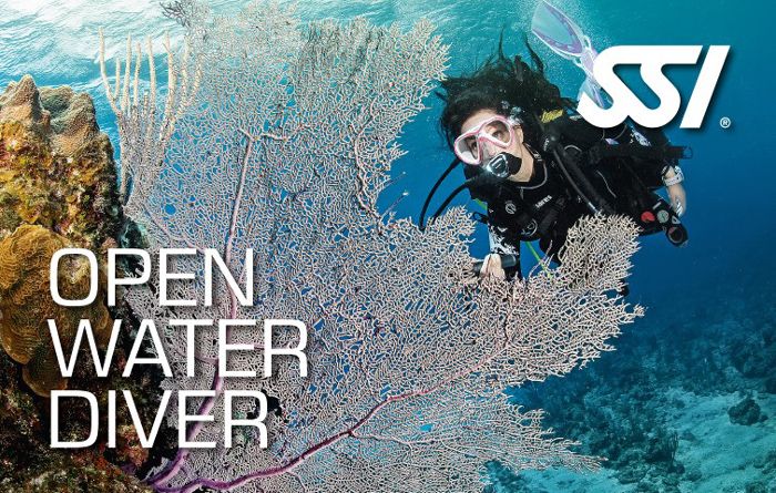 Scuba Diving Open Water Diver course lanzarote