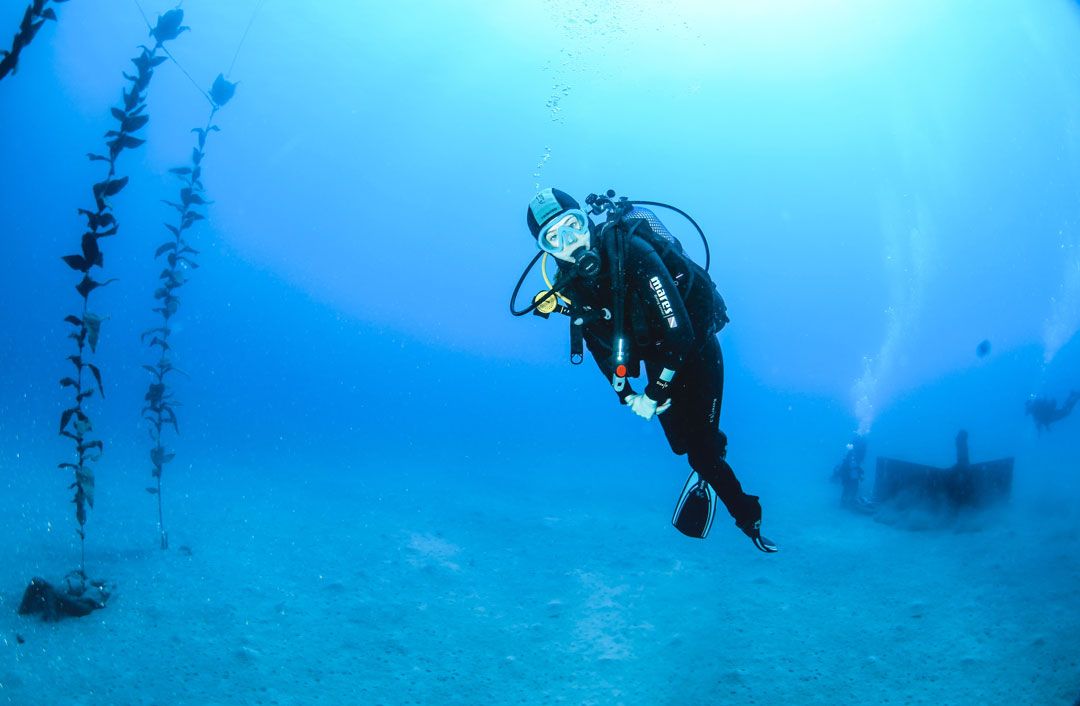 basic diver course in lanzarote rubicon diving bucea