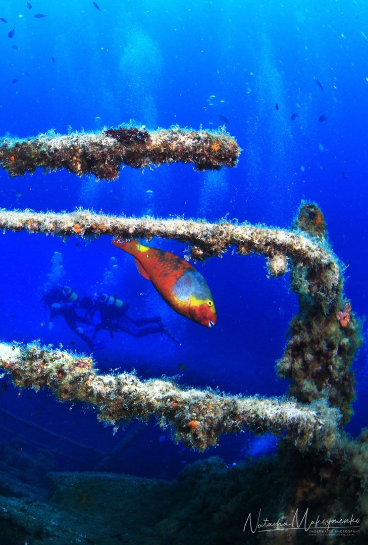 buceador de Pecios en Lanzarote con Rubicon Diving