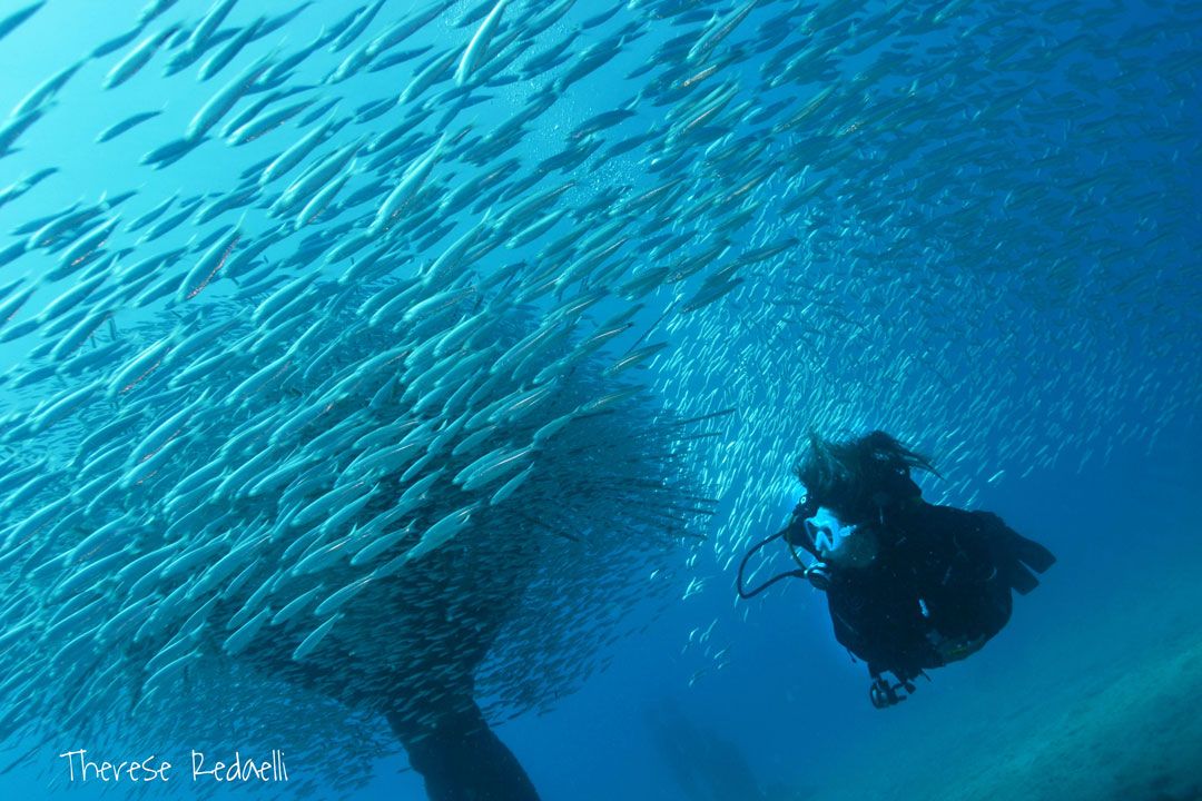 dive and a visit to the Museo Atlantico Lanzarote diver