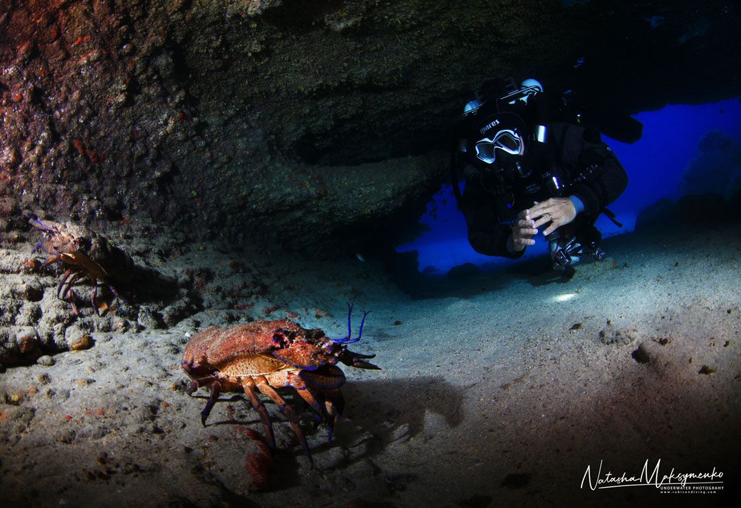 dive site cueva de las gambas lanzarote rubicon diving a diver and crab