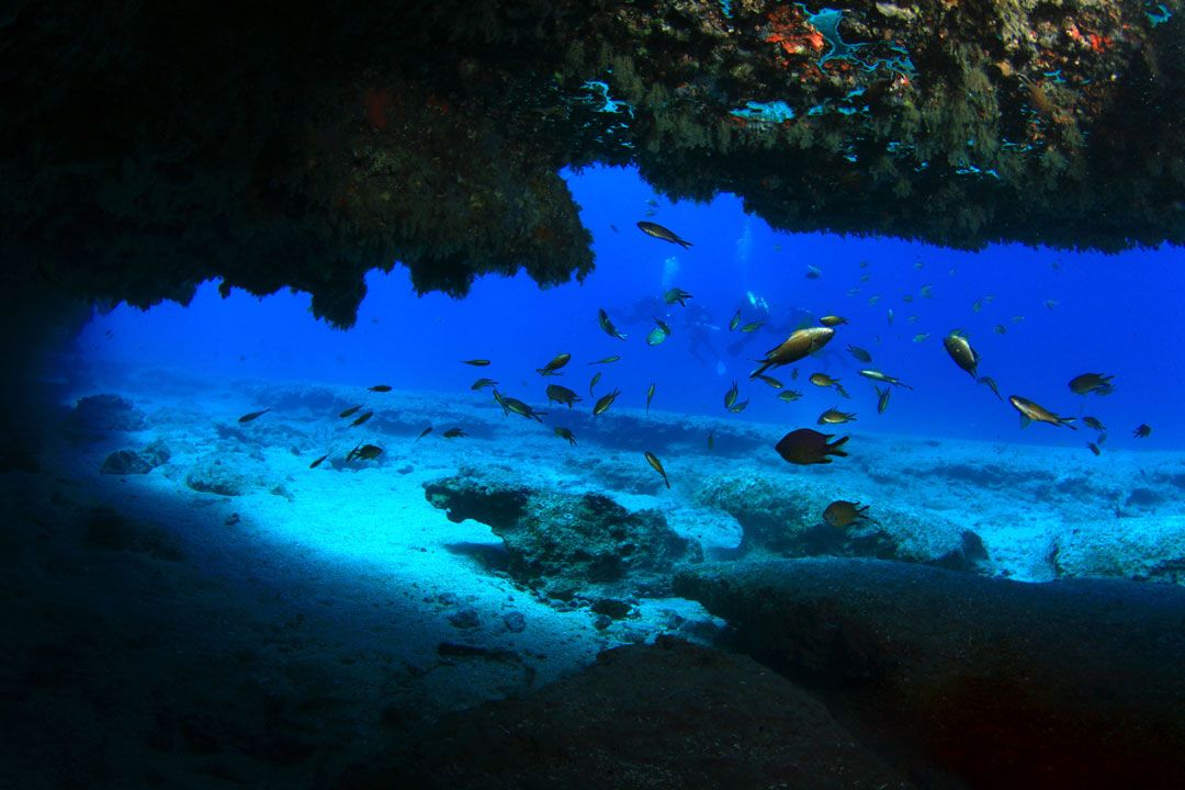 dive site las coloradas lanzarote rubicon diving