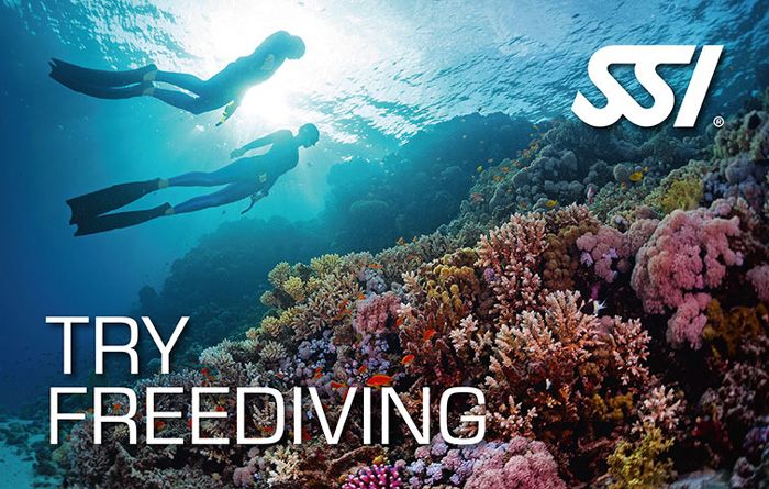 try free diving SSI in Lanzarote rubicon diving